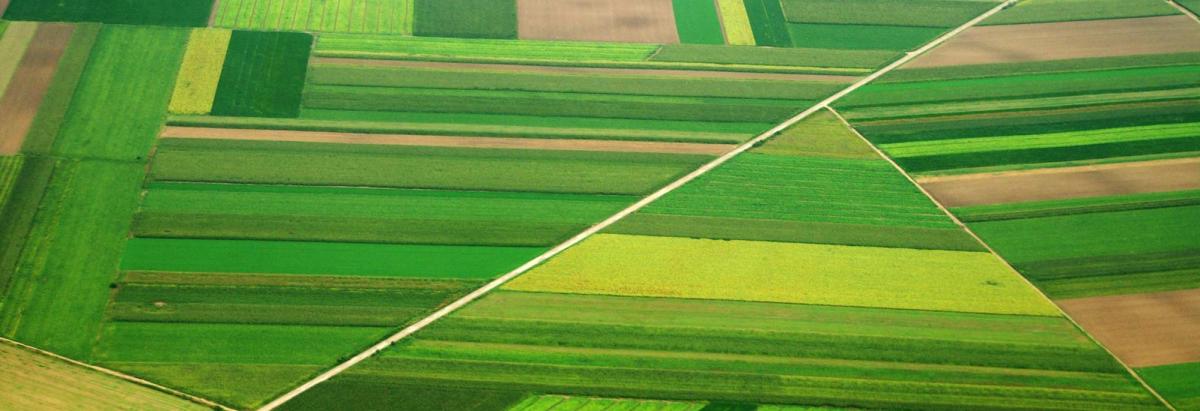 Préparer le concours agronomie ENSA